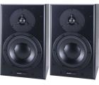 Dynaudio BM6P 无源监听音箱