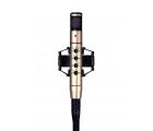 Sennheiser MKH 800 P48 大震膜电容话筒