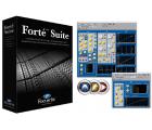 Digidesign Focusrite Forte 插件