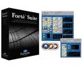 Digidesign Focusrite Forte 插件