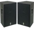 YAMAHA C115V 专业音箱