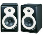 ICON PX-C5A 监听音箱