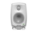 Genelec 6010A 监听音箱
