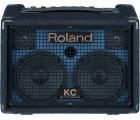 罗兰 Roland KC-110 多用途键盘音箱